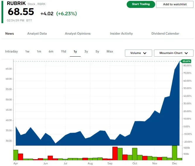 These are the 10 best-performing stocks that debuted in 2024