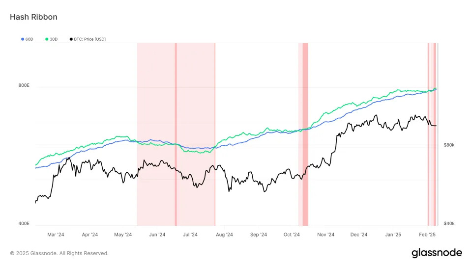 Bitcoin Difficulty Hits New Highs as Key Metric Signals Miner Capitulation and Possible Bottom